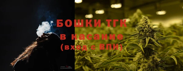 шишки Саяногорск