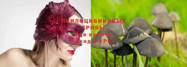 шишки Саяногорск