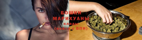 тгк Сатка