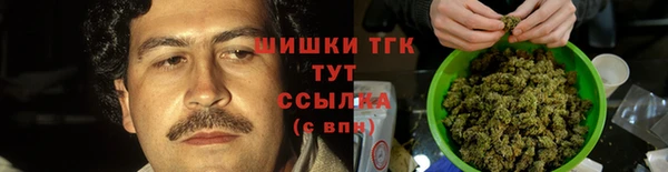 тгк Сатка