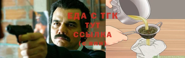 шишки Саяногорск