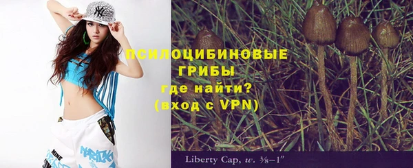шишки Саяногорск