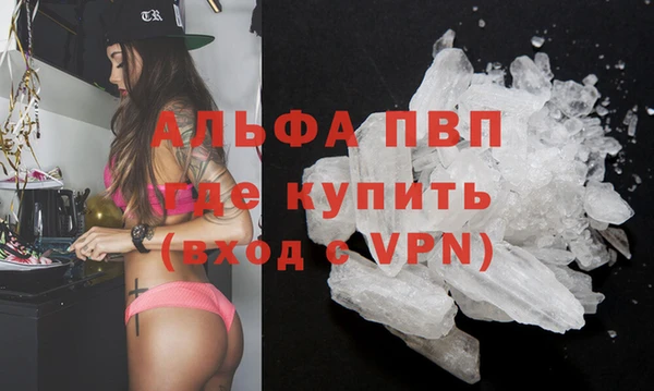 шишки Саяногорск