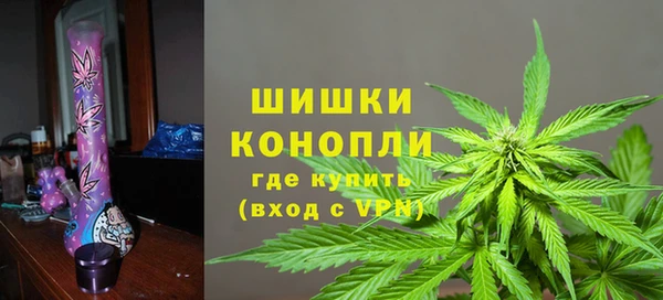 шишки Саяногорск