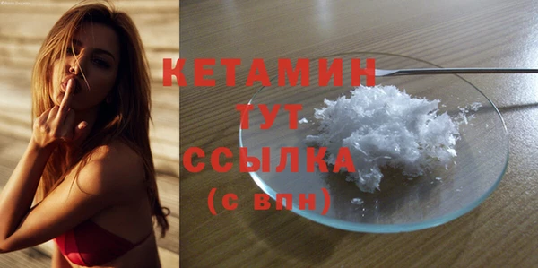 шишки Саяногорск