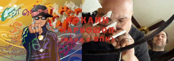 шишки Саяногорск