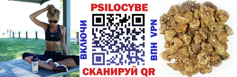 где продают   Урень  Псилоцибиновые грибы ЛСД 